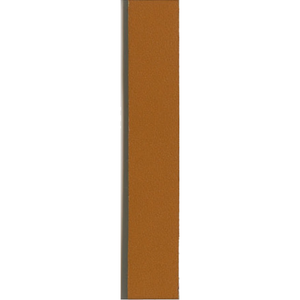 8900-CT
