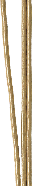 SIC-3196