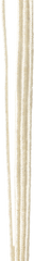 SIC-3209