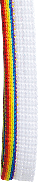SIC-534