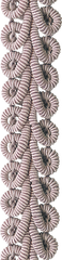 SIC-6169